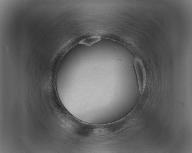 X0000067850591200604201309