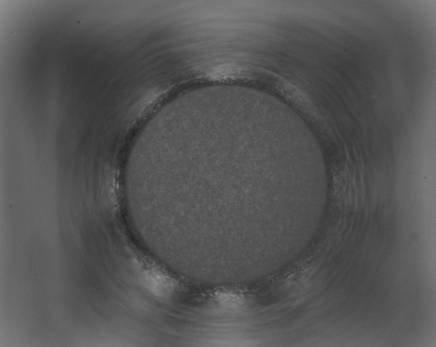 X0000067850592200604201309