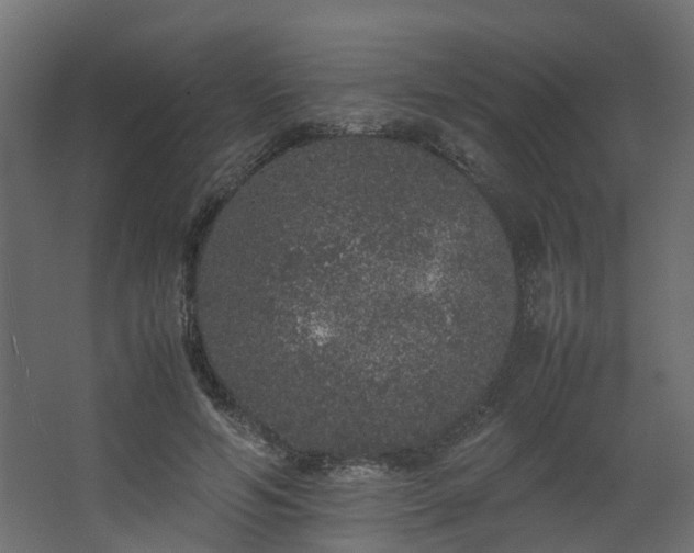 X0000067850594200604201309