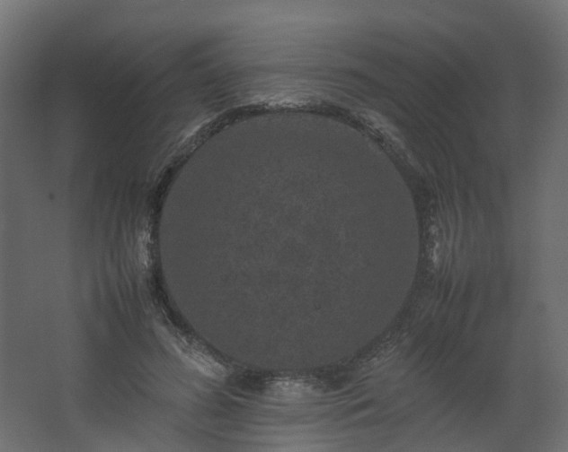 X0000067850596200604201309