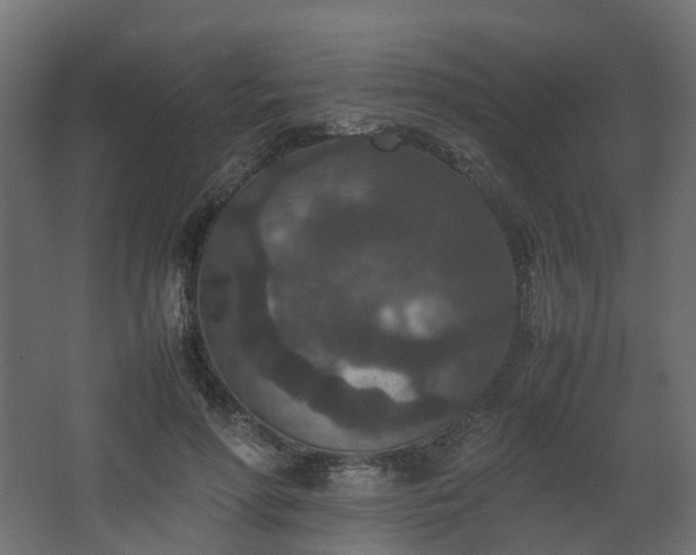 X0000067850598200604201309