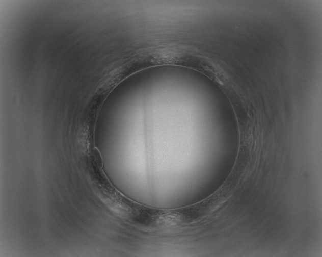 X0000067850599200604201309