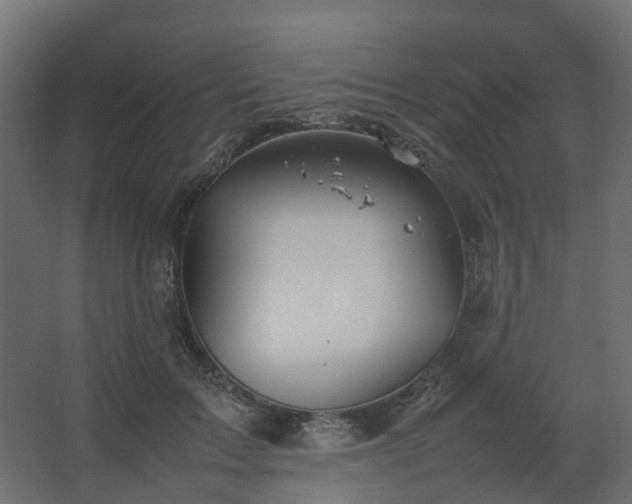 X0000067850603200604201309