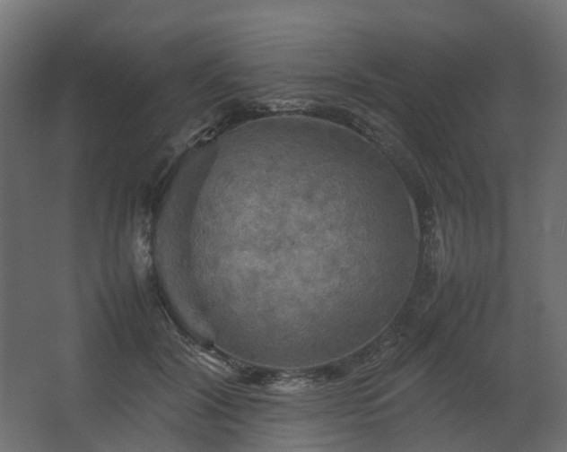 X0000067850604200604201309