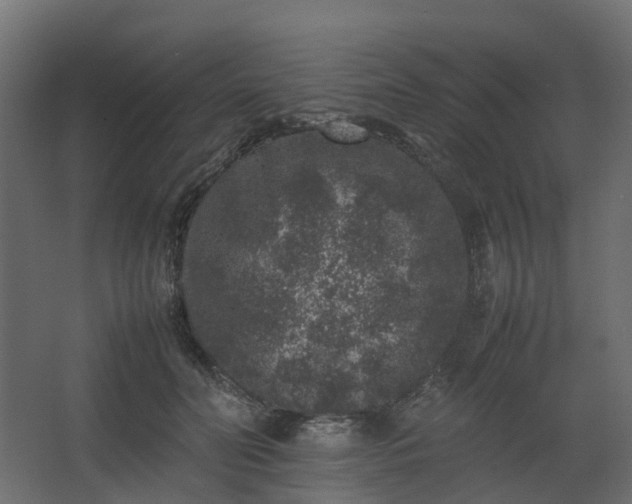 X0000067850606200604201309