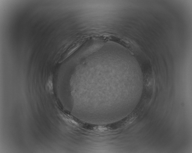 X0000067850607200604201309