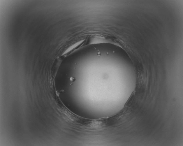 X0000067850609200604201309