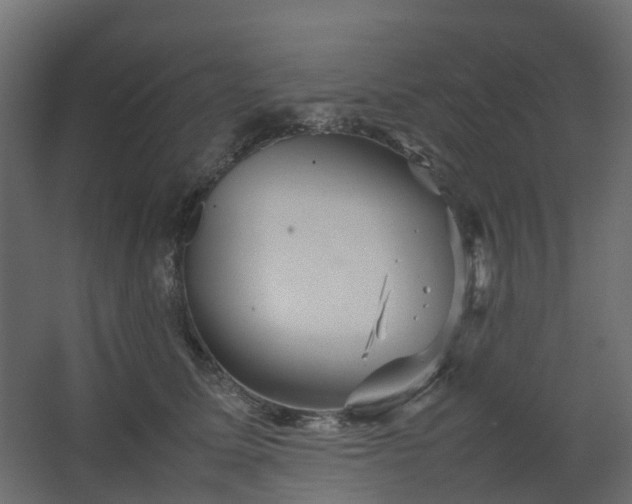 X0000067850611200604201309