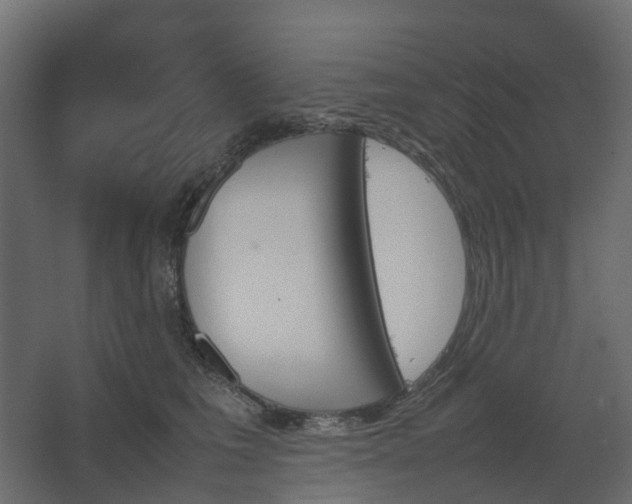 X0000067850613200604201309