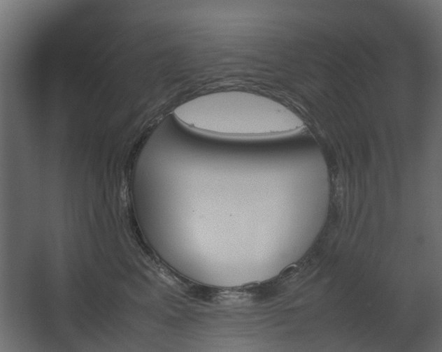 X0000067850617200604201309