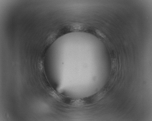 X0000067850621200604201309