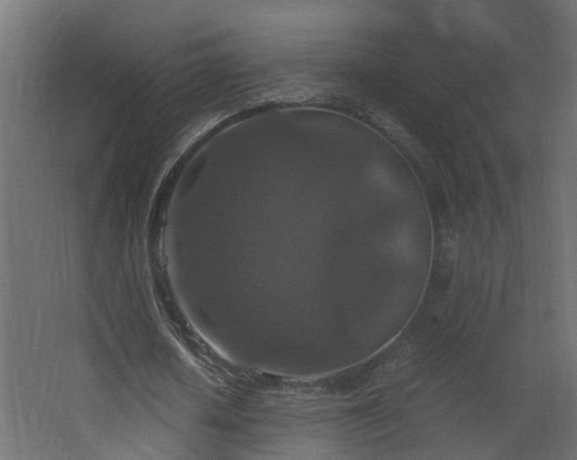 X0000067850626200604201308