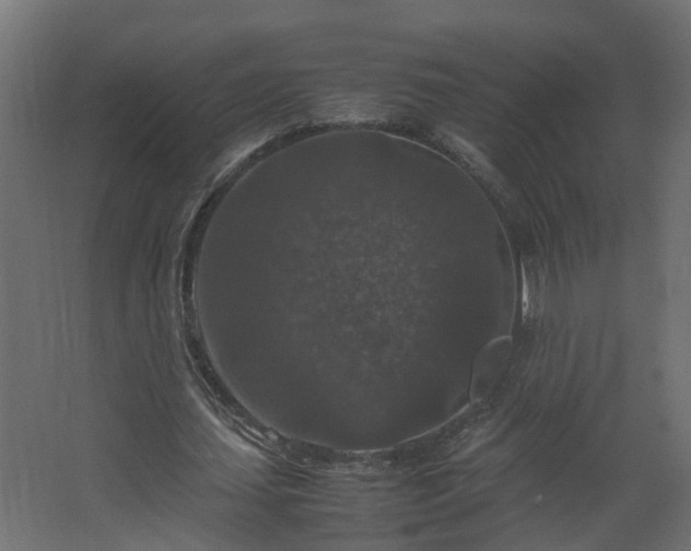 X0000067850627200604201308