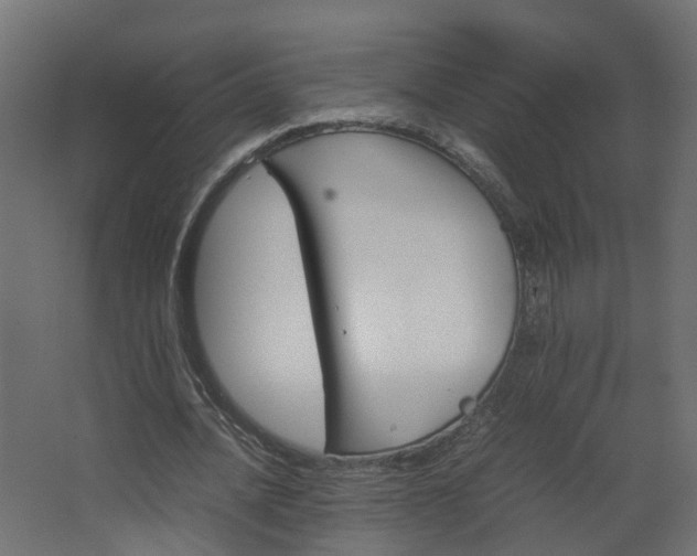 X0000067850628200604201308