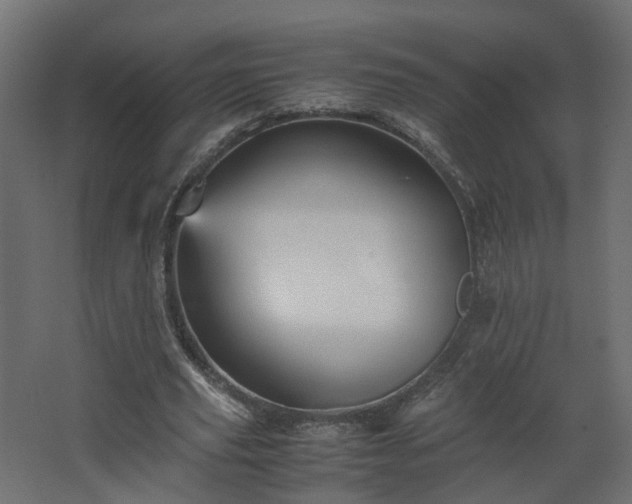 X0000067850629200604201308