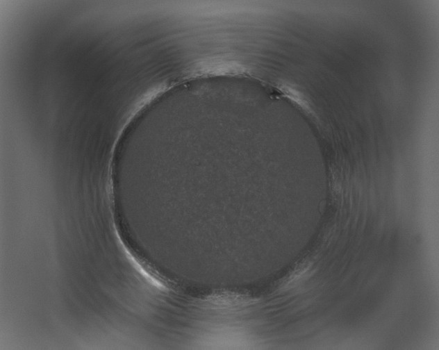 X0000067850630200604201308