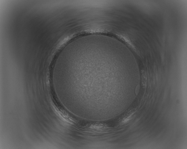 X0000067850631200604201308