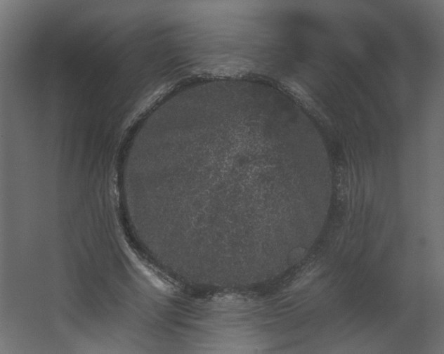 X0000067850634200604201308