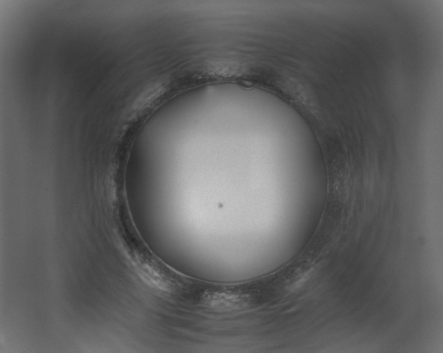 X0000067850635200604201308