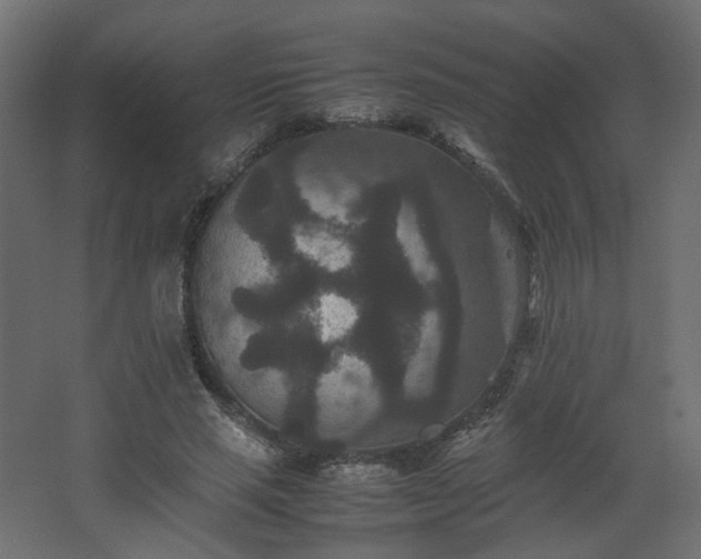 X0000067850637200604201308