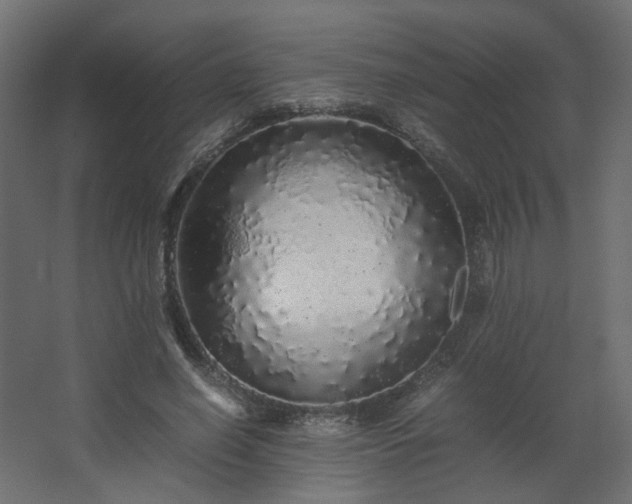 X0000067850638200604201308