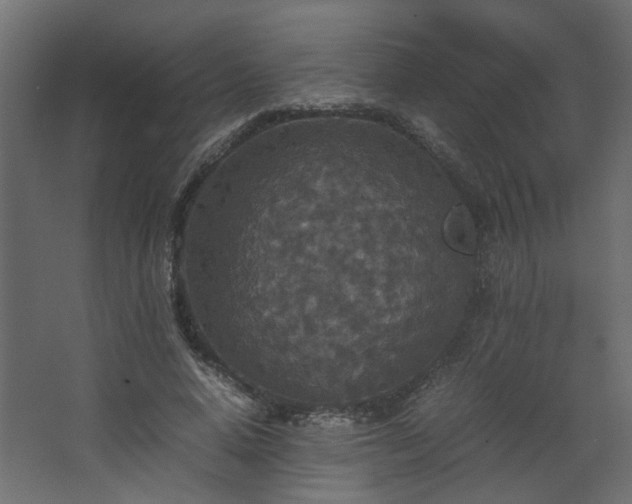 X0000067850640200604201308