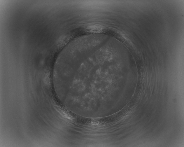 X0000067850641200604201308