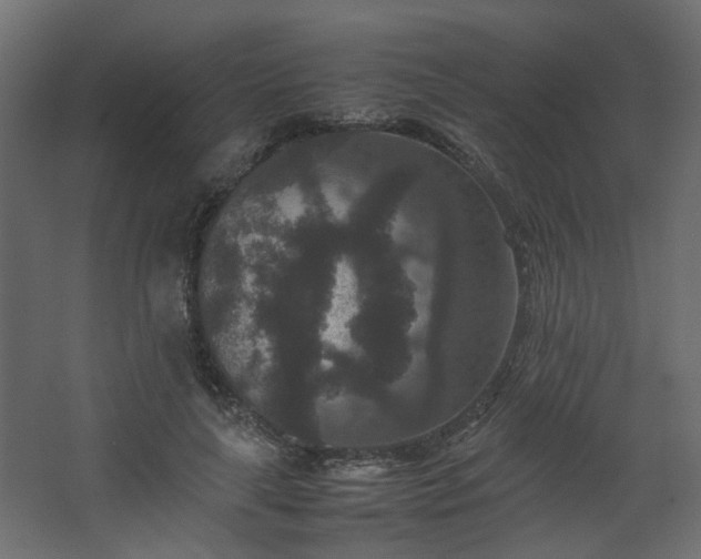 X0000067850643200604201308