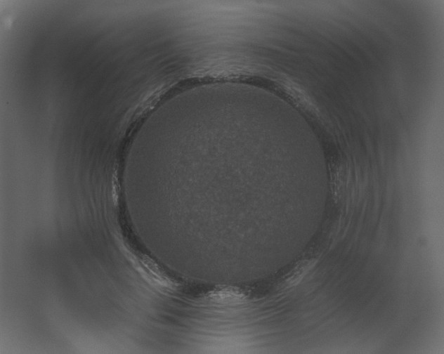 X0000067850644200604201308