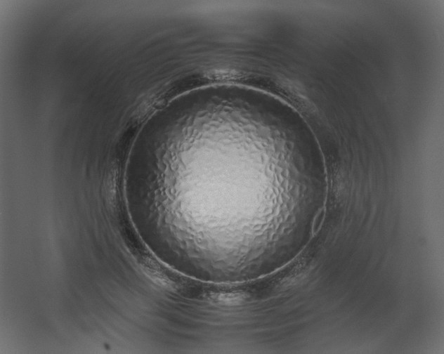 X0000067850645200604201308