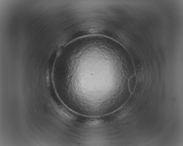 X0000067850646200604201308