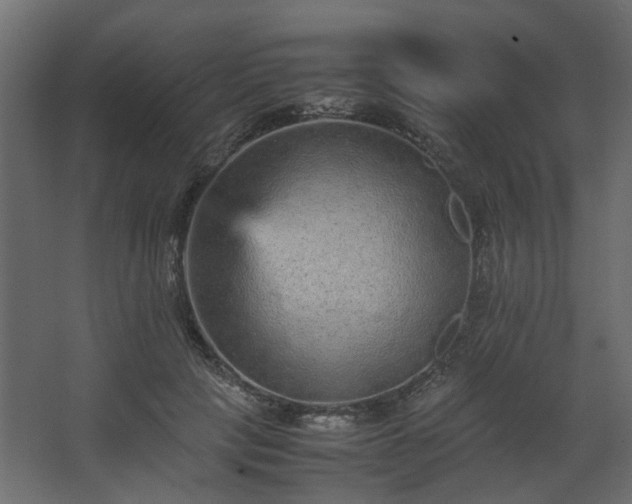 X0000067850649200604201308