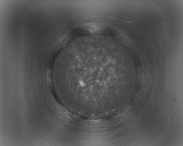 X0000067850650200604201308