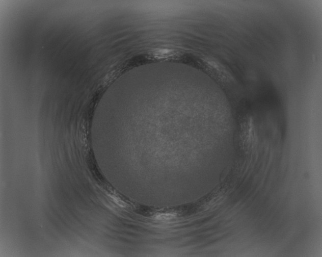 X0000067850653200604201309