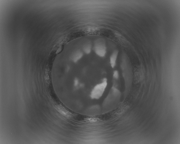 X0000067850654200604201309