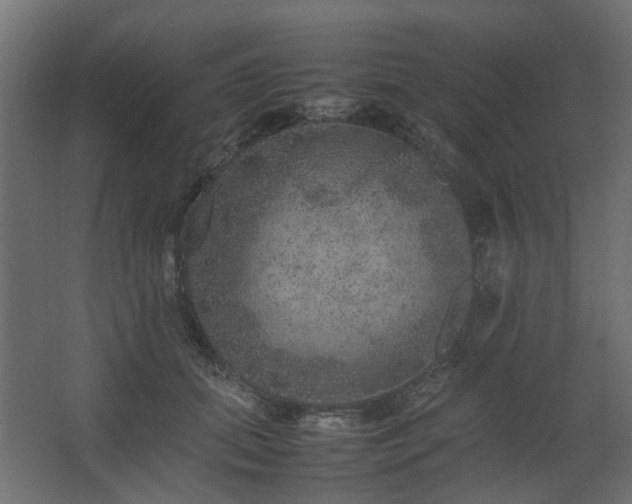 X0000067850655200604201309