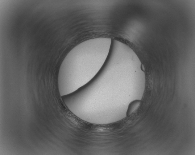 X0000067850657200604201309