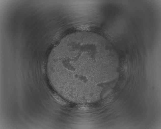 X0000067850658200604201309