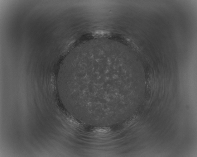 X0000067850659200604201309