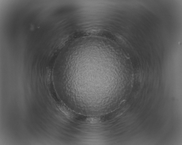 X0000067850660200604201309