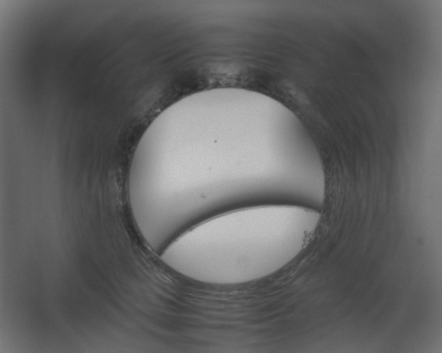 X0000067850661200604201309