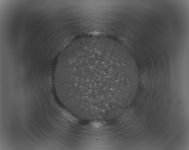 X0000067850662200604201309