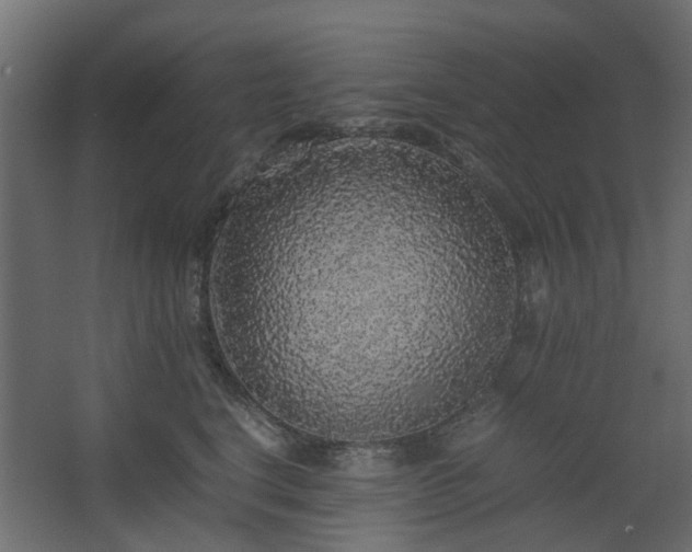 X0000067850664200604201309