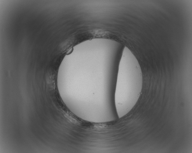 X0000067850666200604201309