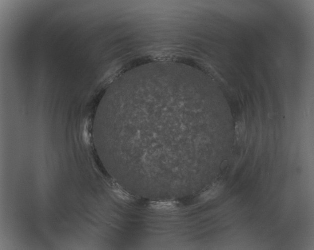 X0000067850671200604201309