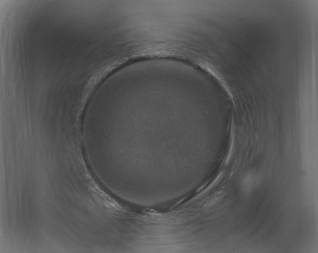 X0000067850673200604201308