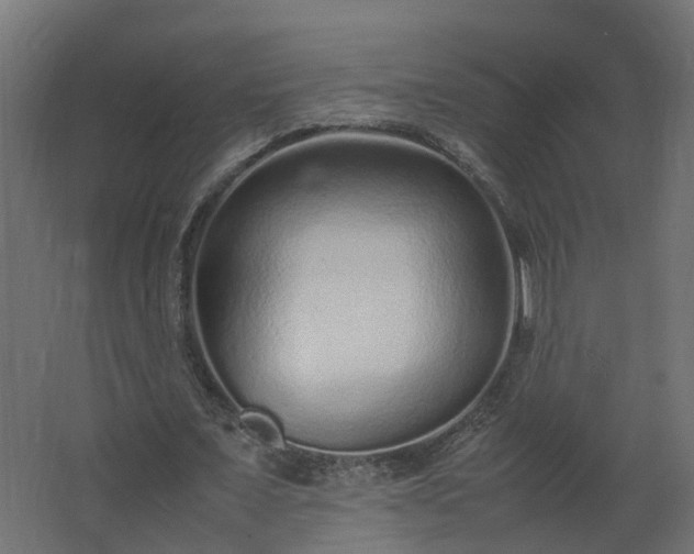 X0000067850675200604201308