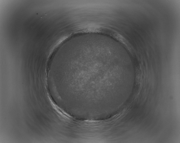 X0000067850677200604201308