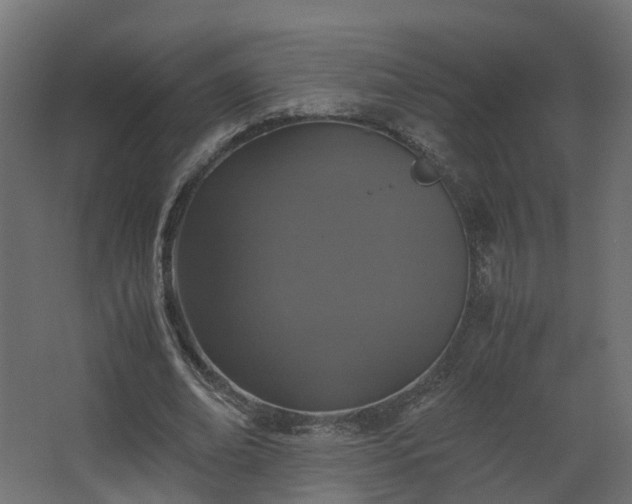 X0000067850678200604201308