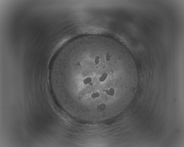 X0000067850679200604201308